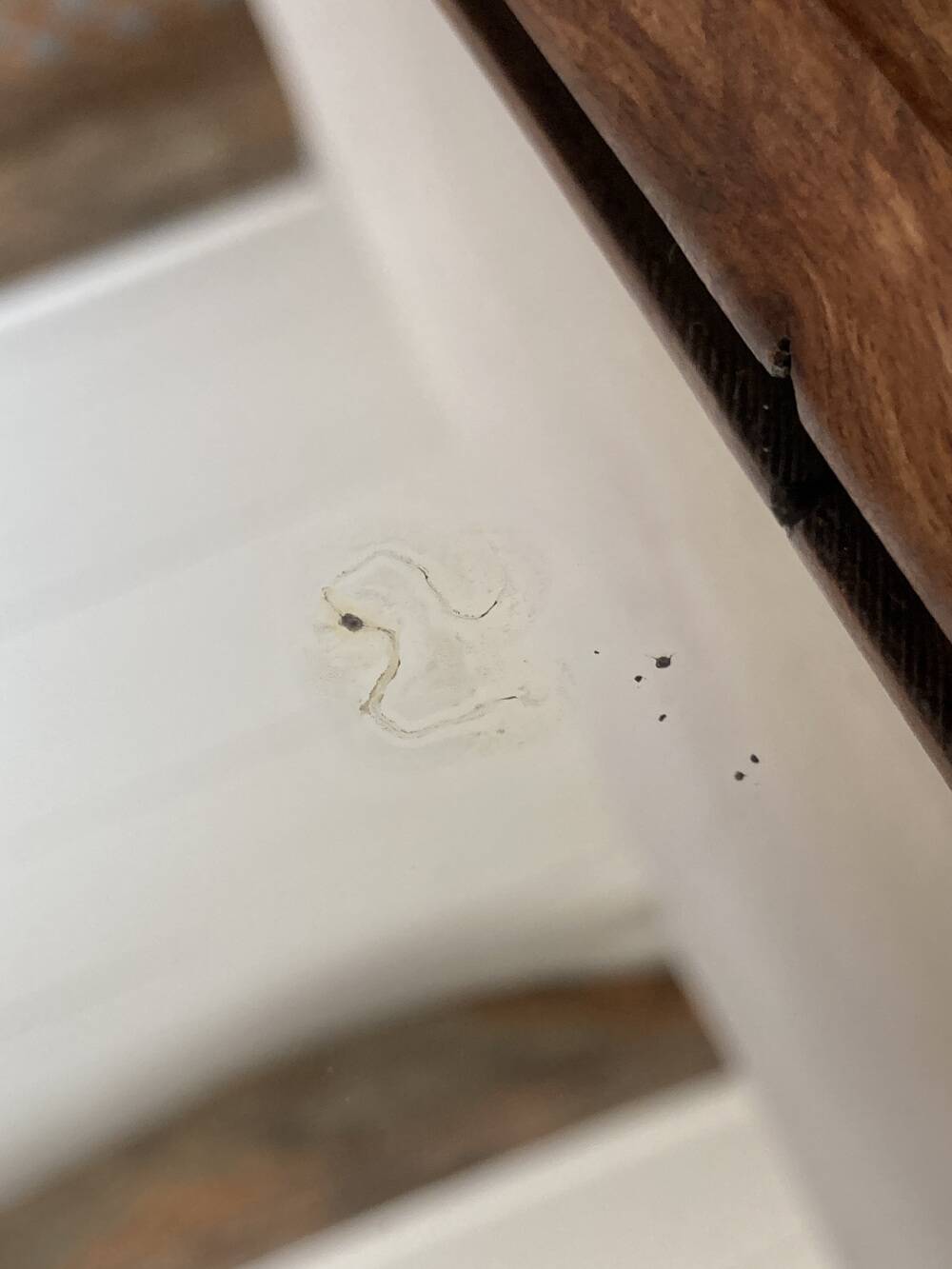 Art nouveau mirror, curved wooden frame and chiseled glass