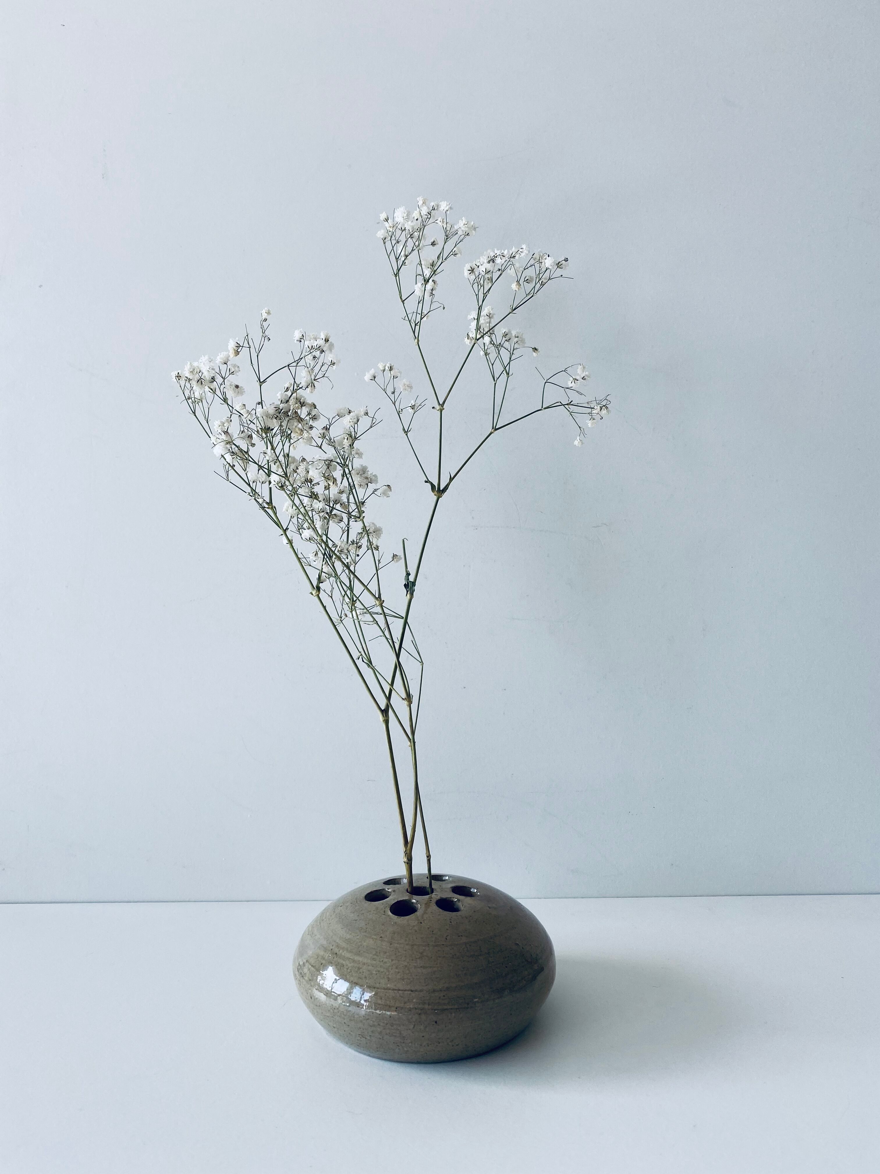 Vase stings flowers lens shape