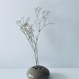 Vase stings flowers lens shape