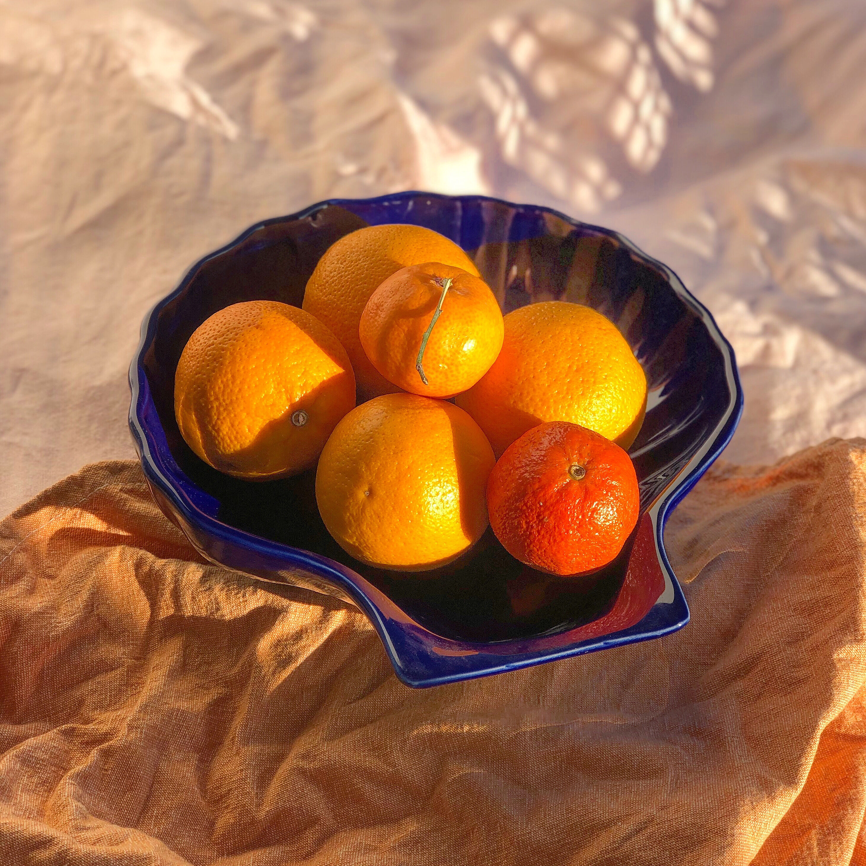 Enamel ceramic shell dish