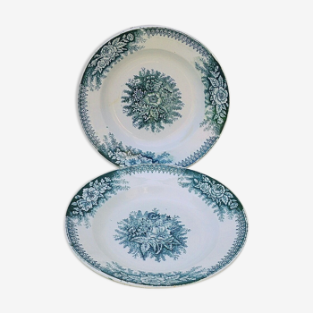Plates hollow earthenware Saint-Amand Jardinière