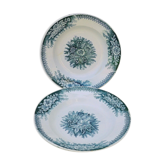 Plates hollow earthenware Saint-Amand Jardinière