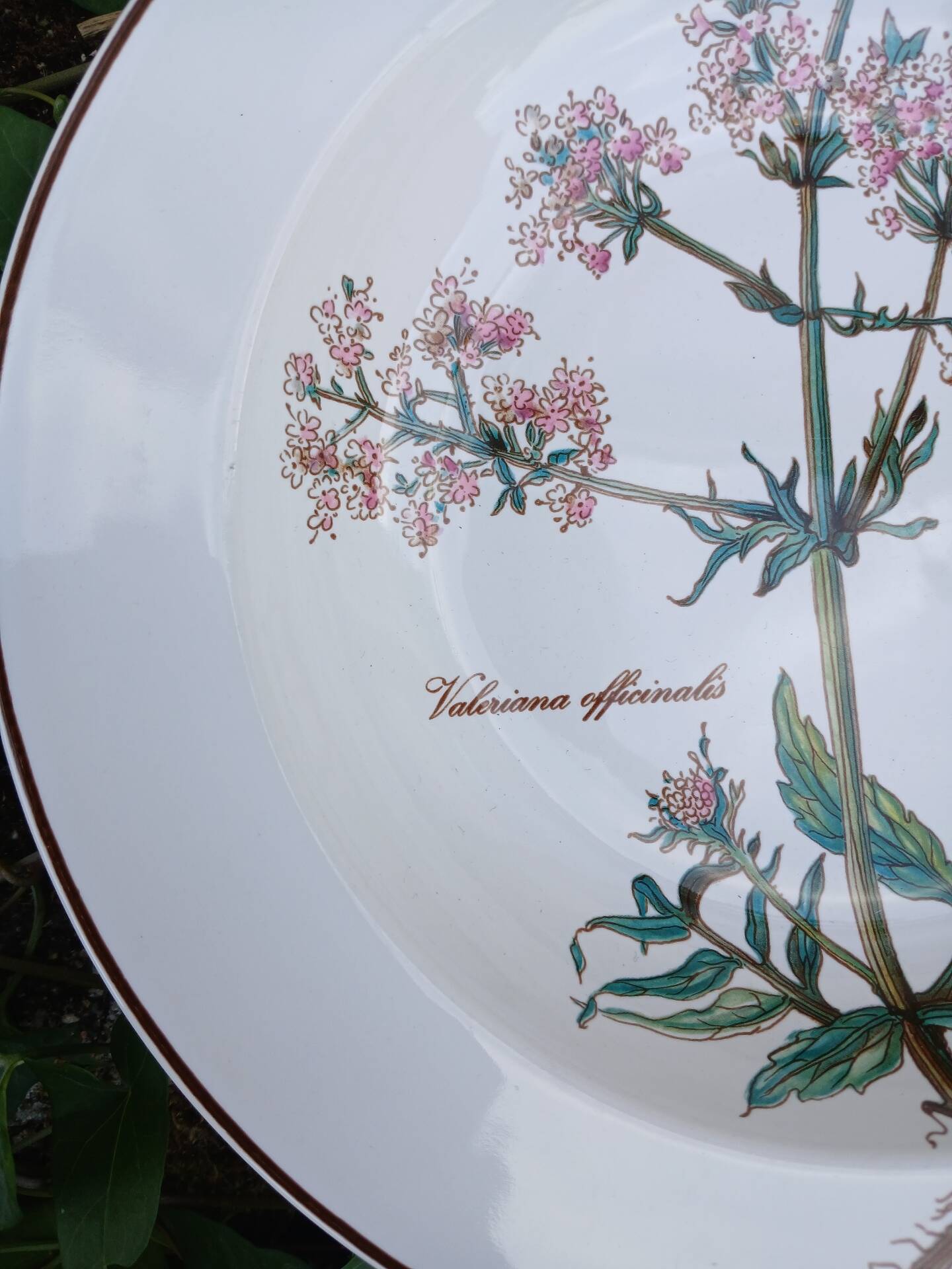 Assiette creuse Villeroy et Boch
