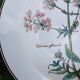 Assiette creuse Villeroy et Boch