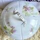 Soup tureen