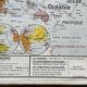 Old school map Vidal-Lablache 322, 1960 - World map, Out