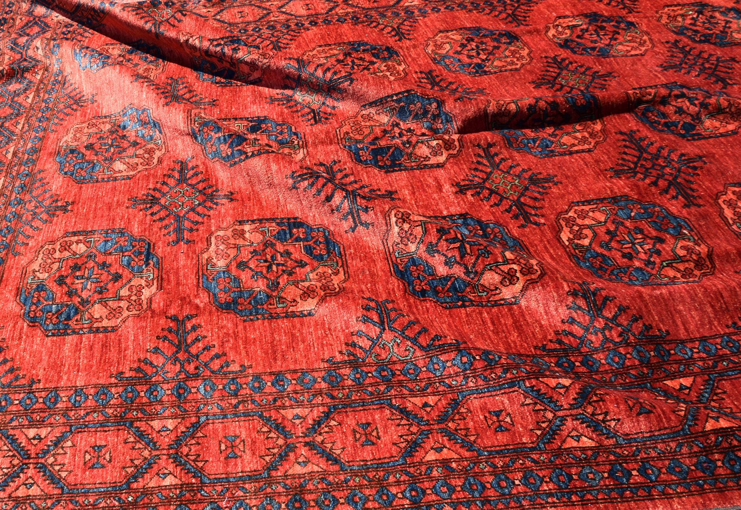Oriental carpet Boukhara Turkmen Afghanistan: 350 x 255 cm