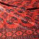 Oriental carpet Boukhara Turkmen Afghanistan: 350 x 255 cm
