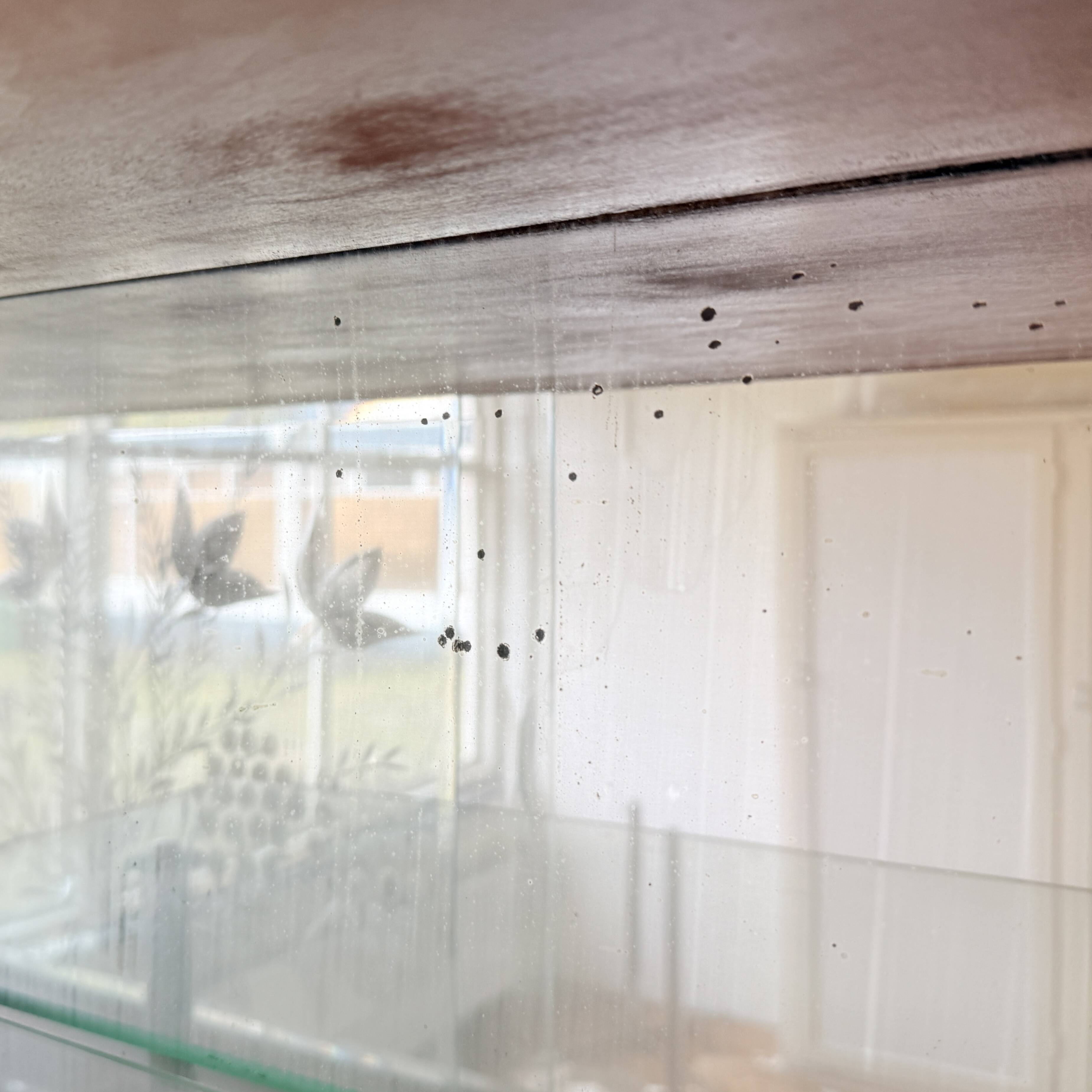 Hanging display cabinet in Art Deco style