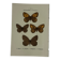 Planche Botanique Gravure Papillon naturaliste ancienne 19eme