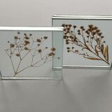 Lot of two glass frames