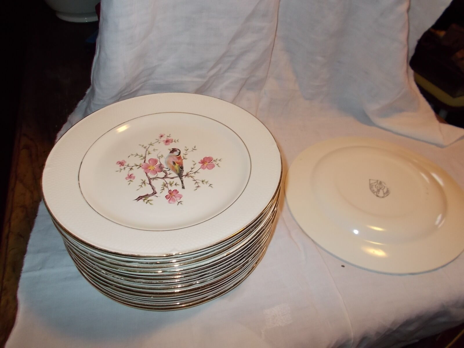 Suite 10 hollow plates saline France