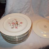 Suite 10 hollow plates saline France