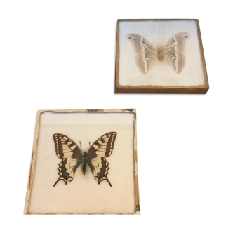 Set of two butterfly frames