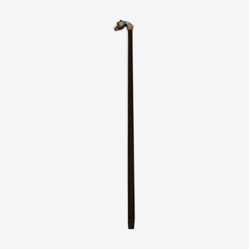 Walking stick