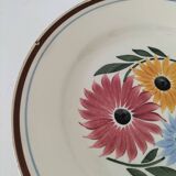 Trio of hbcm plates