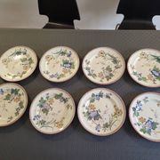 Victorian plate set by Brownfield & Sons model "Texas" England 1880