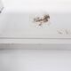 Lips Vago "Congresso" double shelving system, 1960s - one pair available