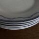 Set of 5 Tournai plates with twig neo-classical design, mid-19th century, ironstone.