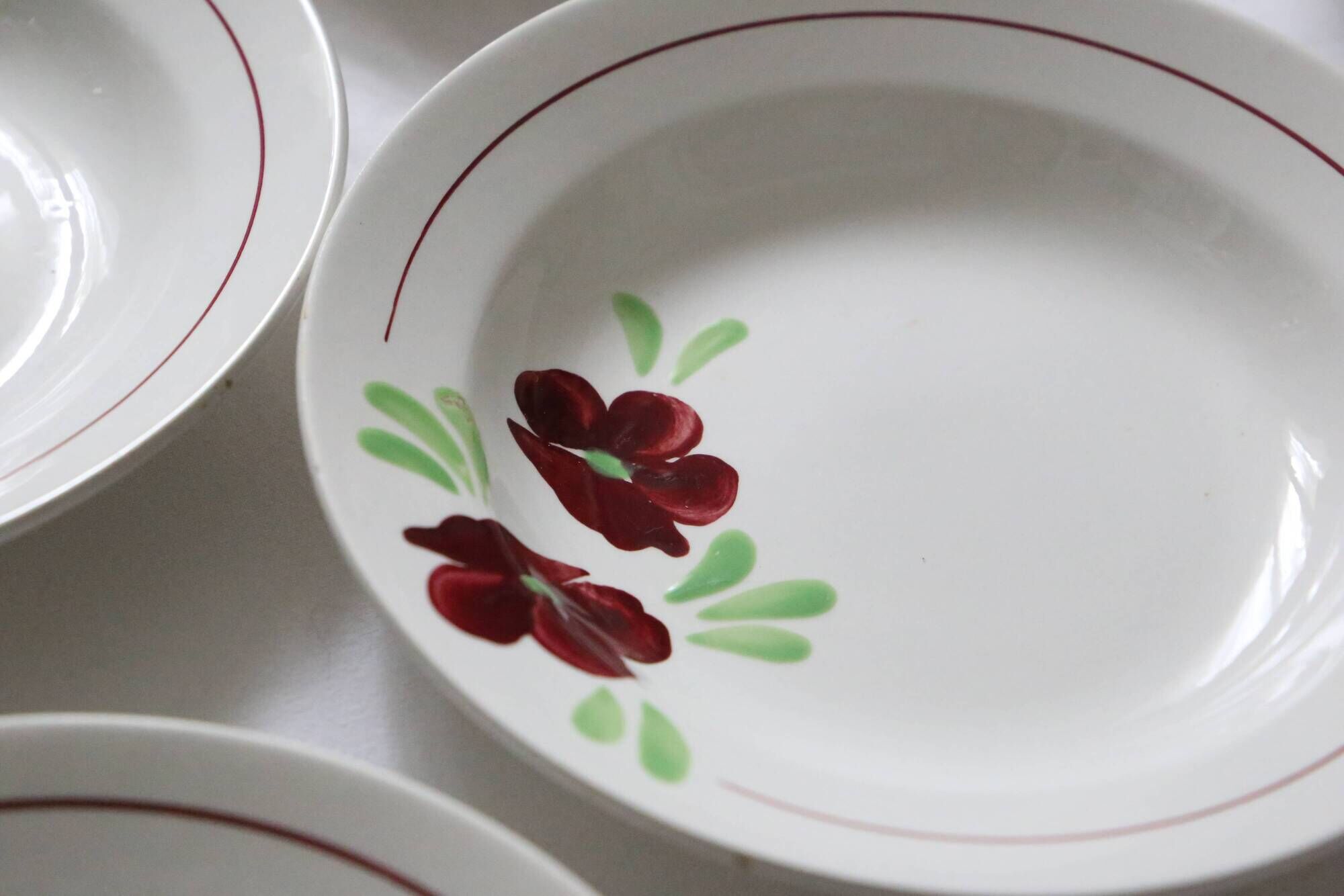 Set of 9 Salins hollow plates, Ninon pattern, French vintage, authentic, rare, countryside
