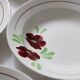 Set of 9 Salins hollow plates, Ninon pattern, French vintage, authentic, rare, countryside