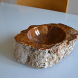 Empty pocket or ashtray in fossilized wood