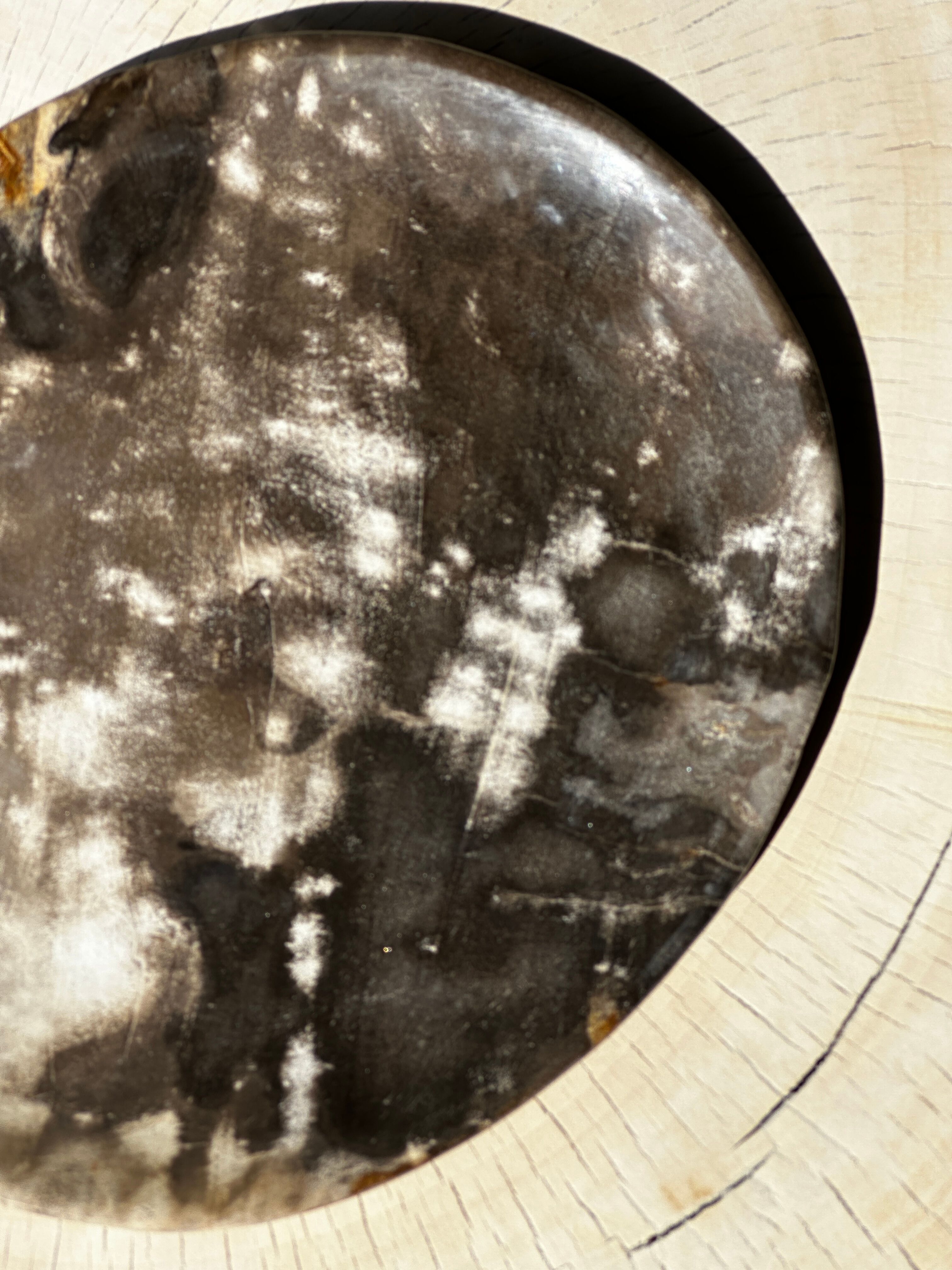 Dish in petrified wood