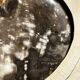 Dish in petrified wood