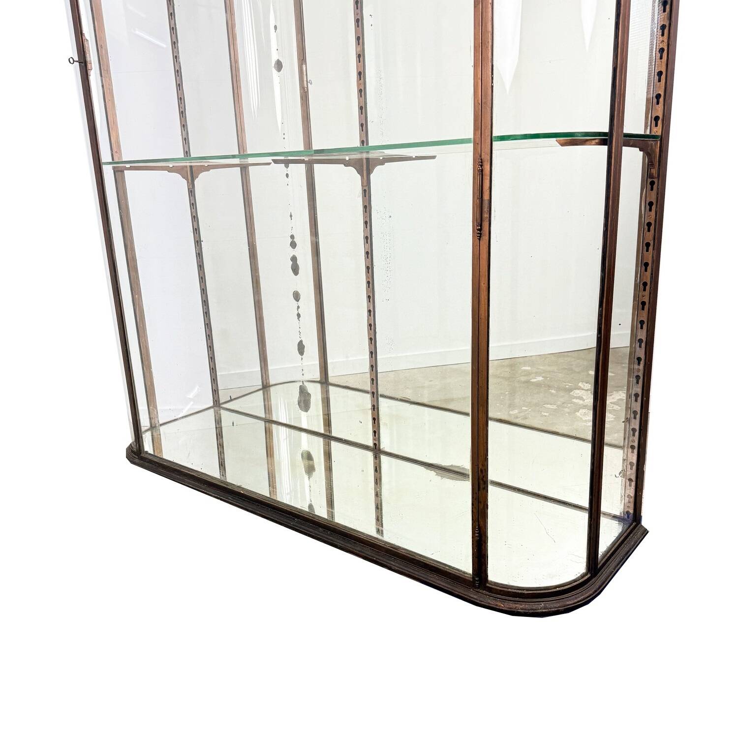 Large Antique Museum Display Cabinet with Curved Glass