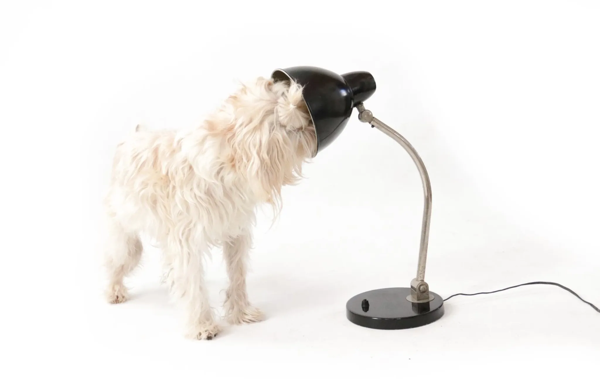 Vintage black desk lamp in Bauhaus style