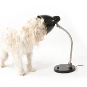 Vintage black desk lamp in Bauhaus style