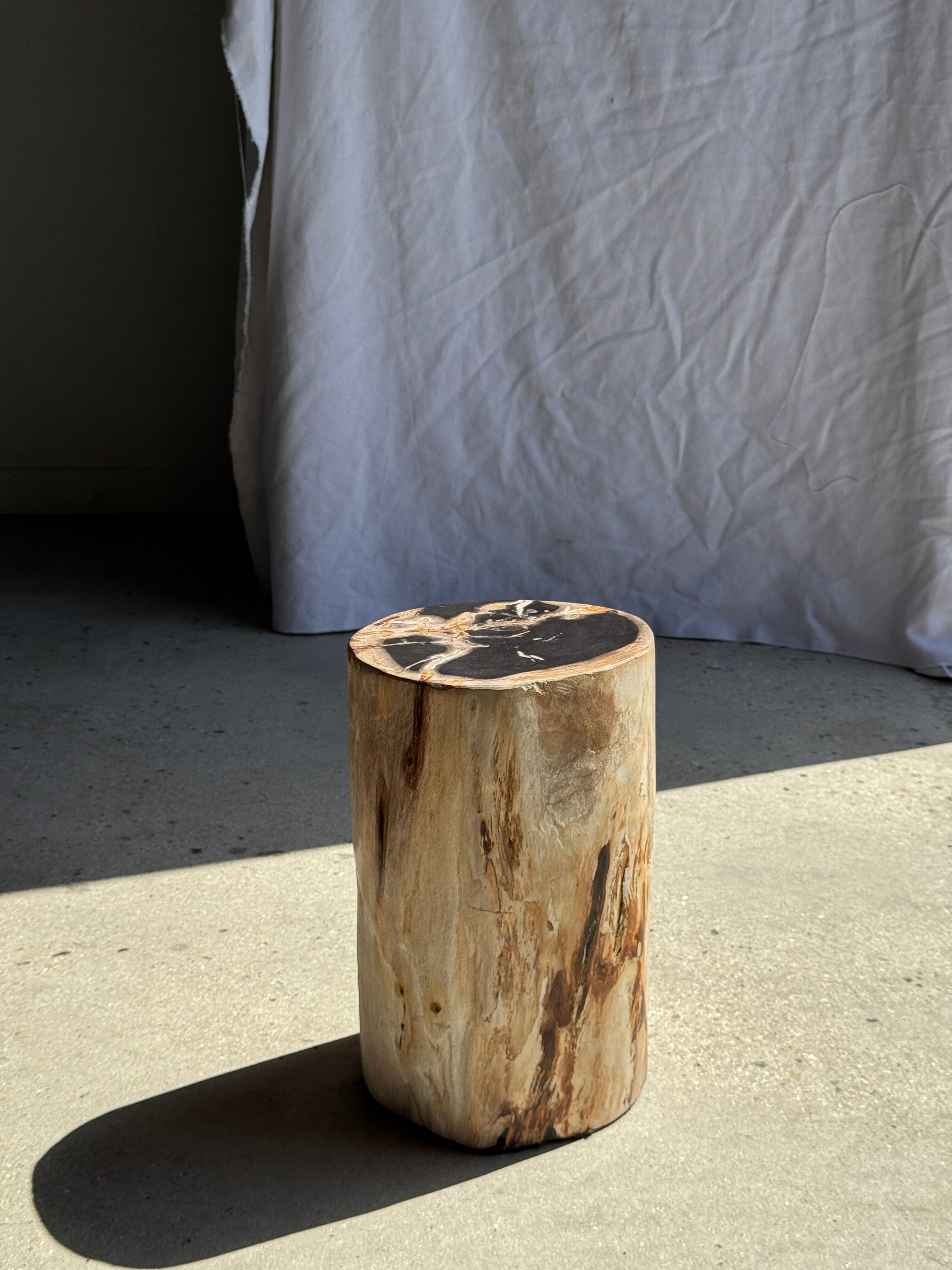 Petrified wood side table, black heart, beige bark, H35 D22 - 3330
