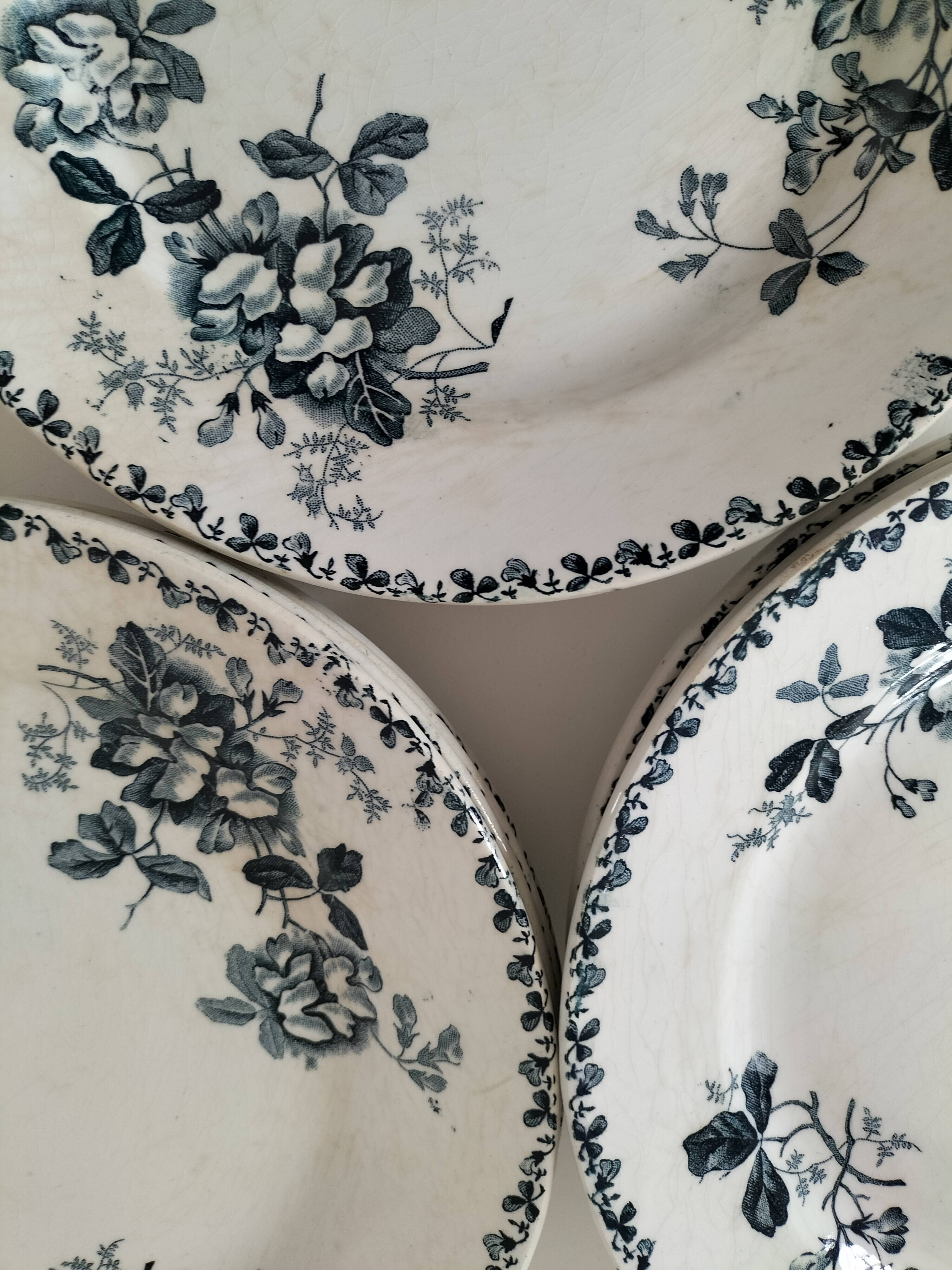 Set of 10 ironstone plates Moulin des Loups Acacia