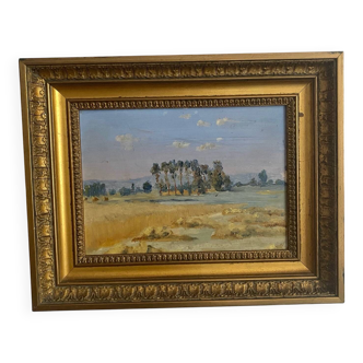 Framed landscape painting