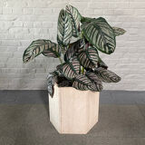 Travertine hexagon planter