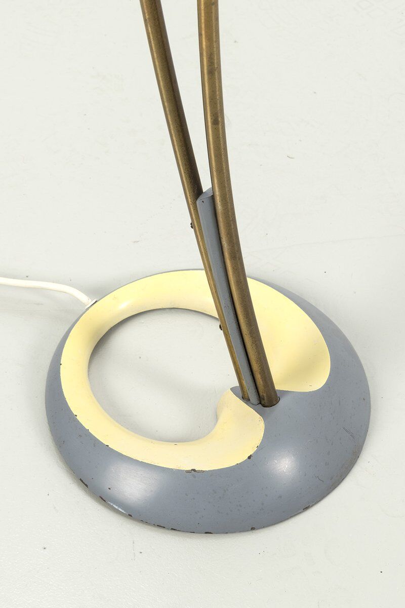 Organically Shaped Floor Lamp