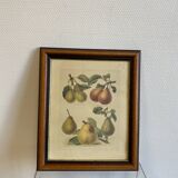 Fruit board