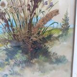 Herbarium on watercolor. the 50's .