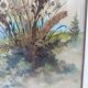 Herbier sur aquarelle . années 50 .