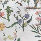 Botanical board n1 on flowers