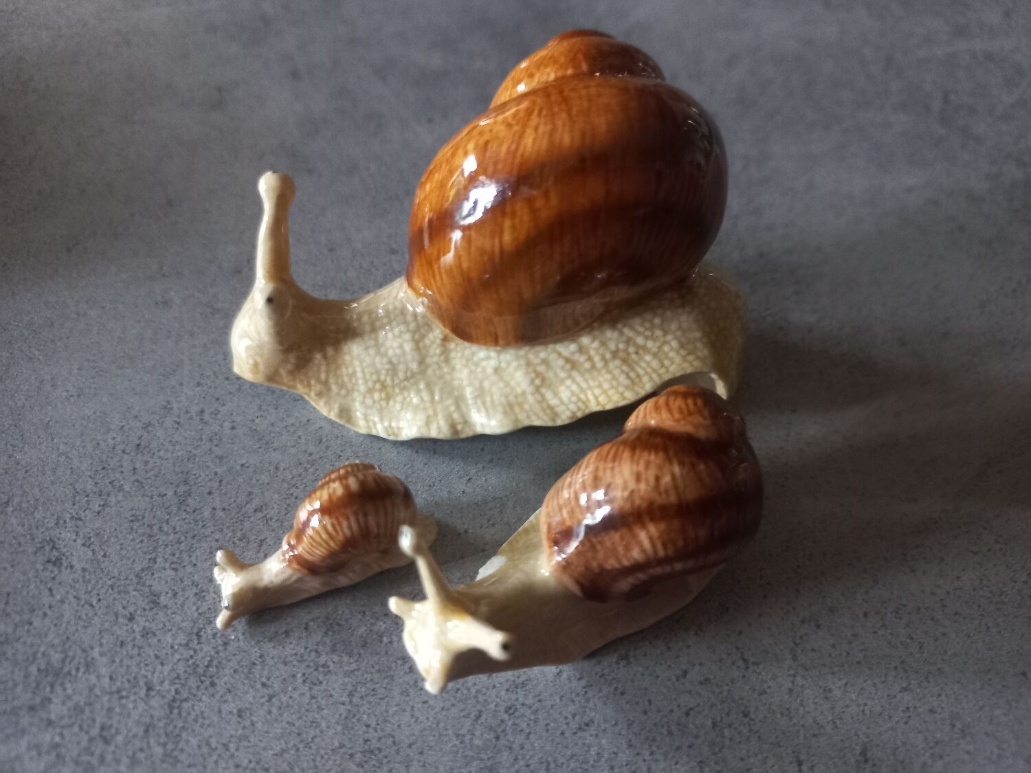 Family snails
