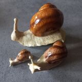 Family snails
