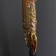 Cabinet of Curiosities haptosquilla trispinosa squille on pedestal