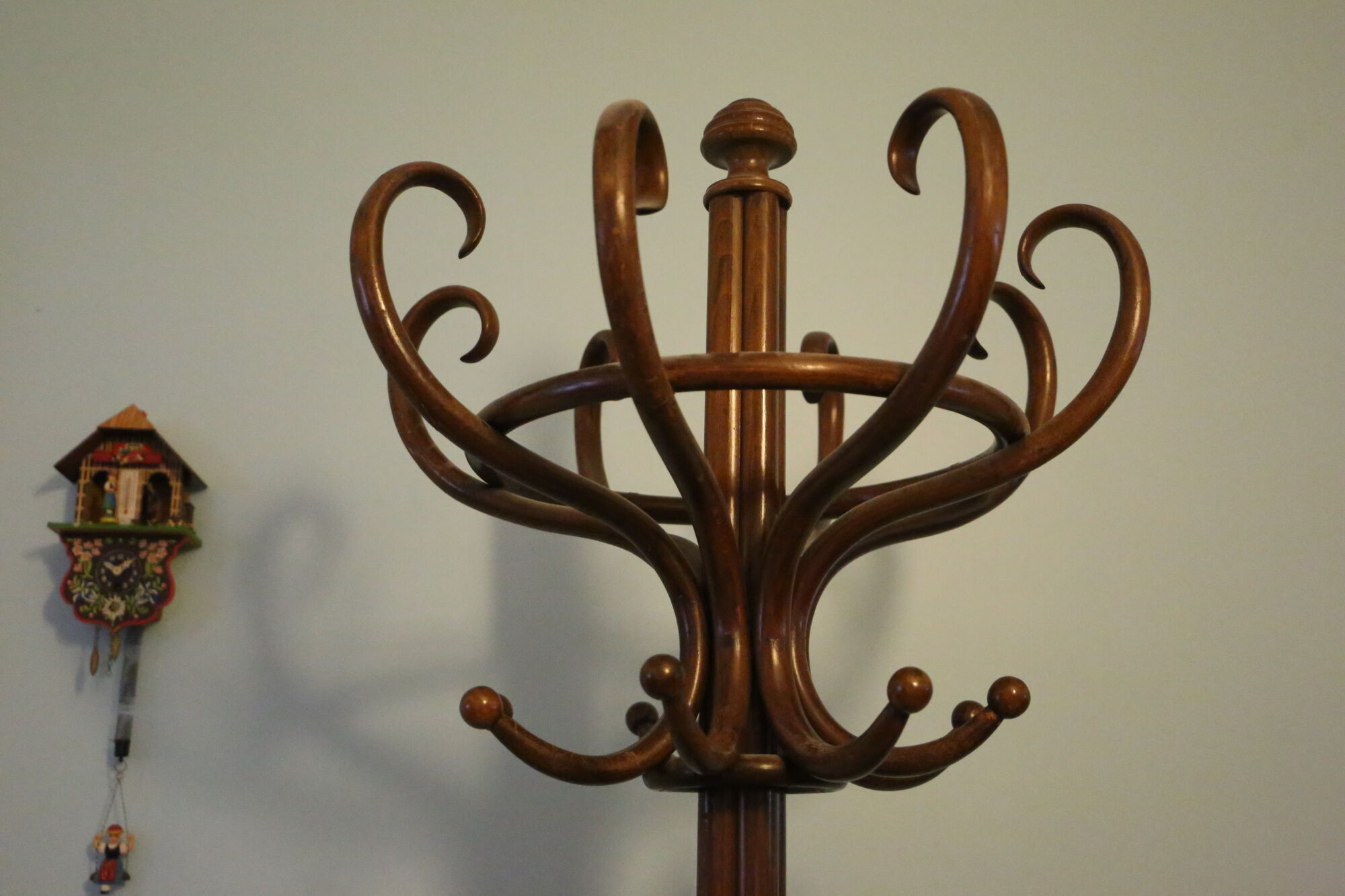 Thonet parrot coat holder