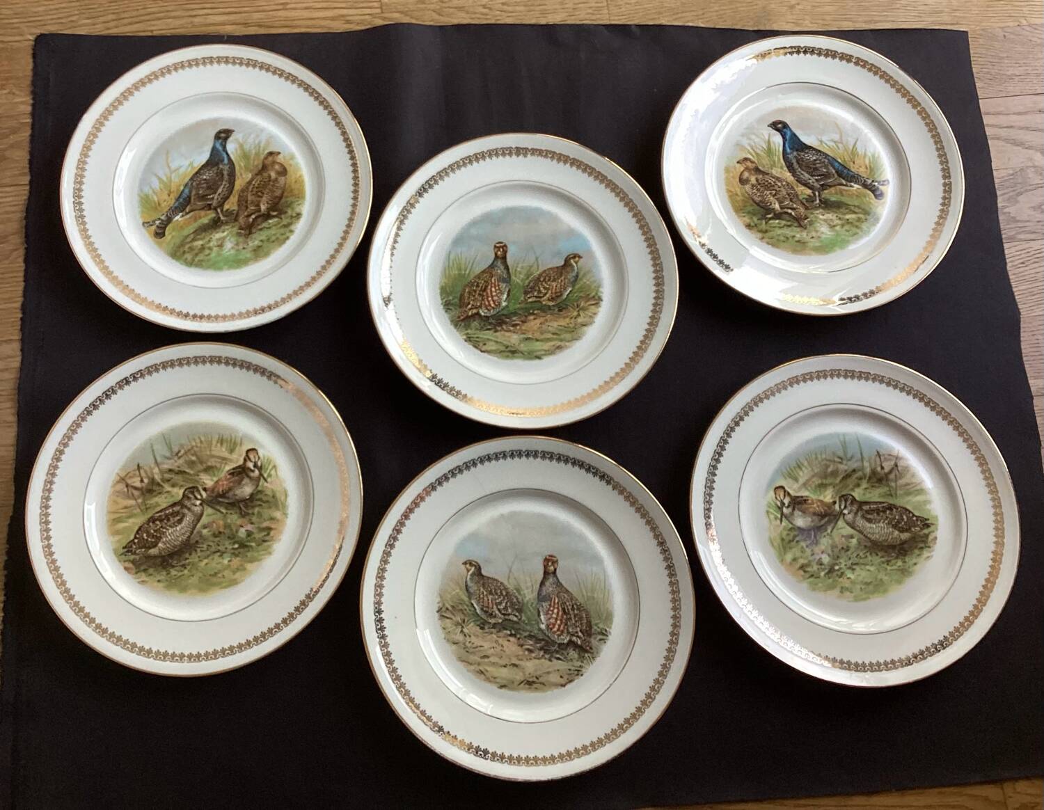 Flat plates PL Emaux Limoges Fafrique Mehun