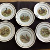 Flat plates PL Emaux Limoges Fafrique Mehun