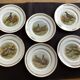 Flat plates PL Emaux Limoges Fafrique Mehun