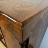 Large Biedermeier Half-Cabinet in Ebonized Walnut, South Germany, 1820