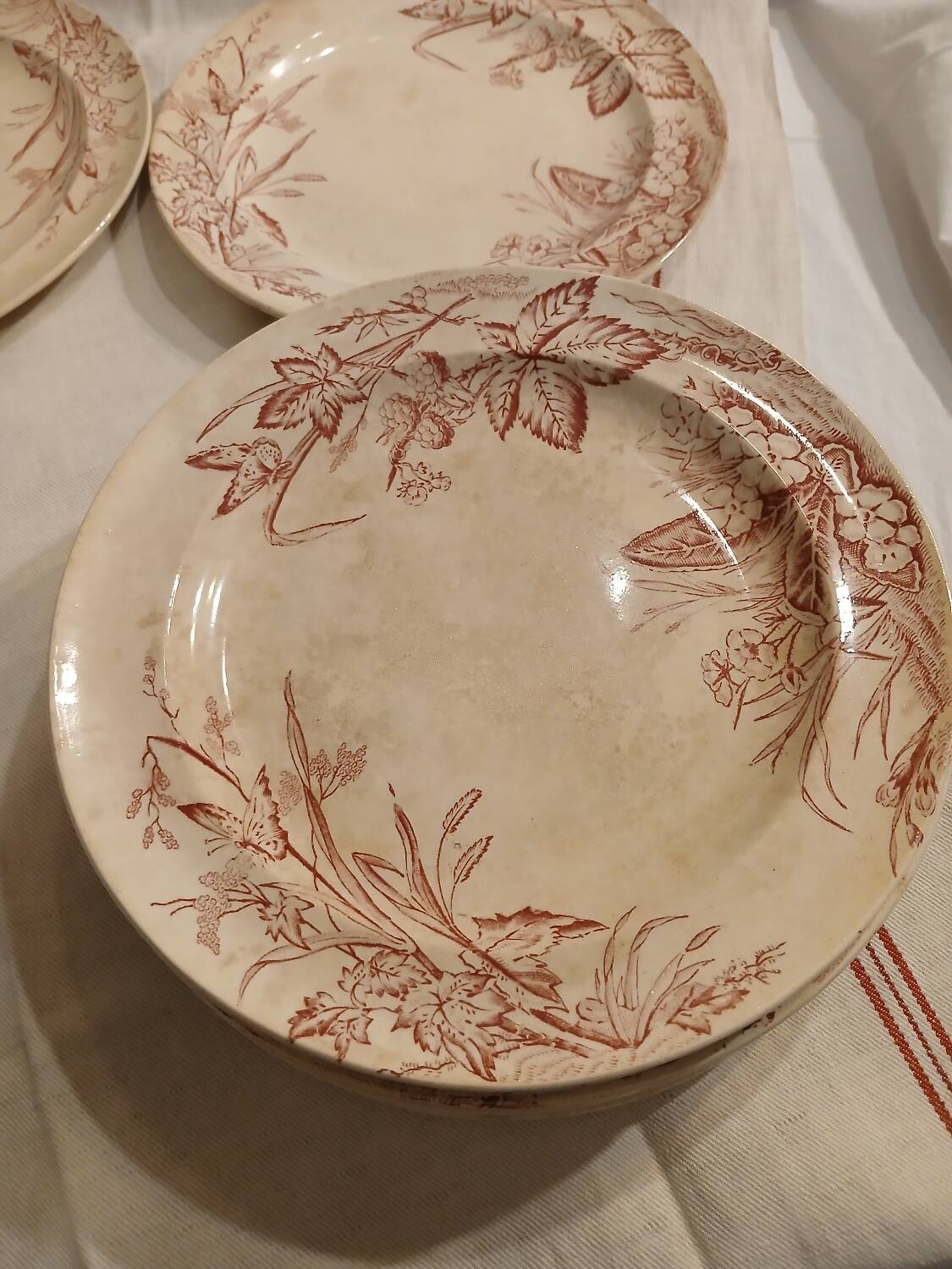 10 antique ironstone dinner plates