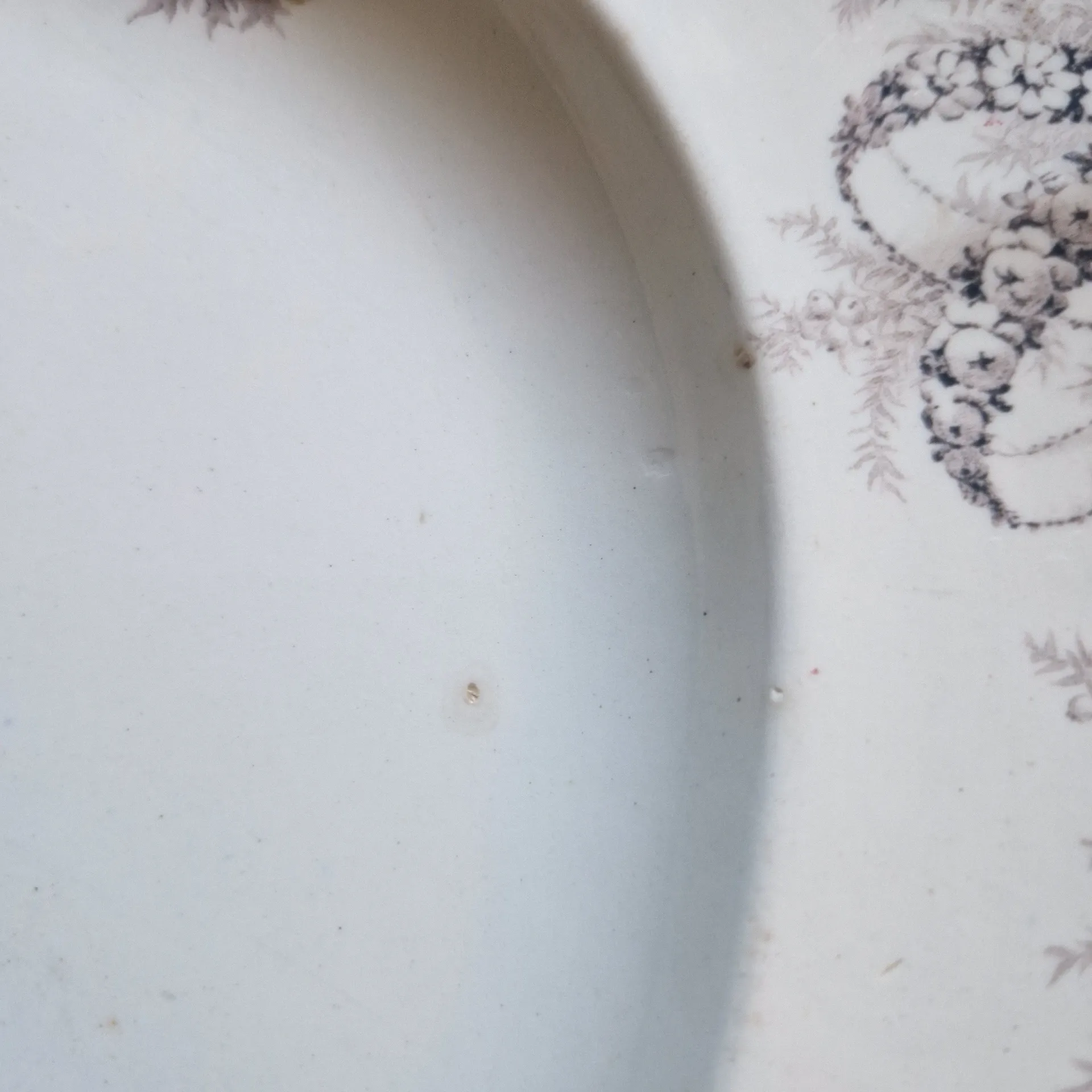 Large oval dish Cauldon Place England – Ironstone / English earthenware
